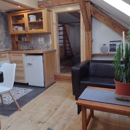 Studio Blizko Centra, Zilinska 20 Братислава Екстериор снимка