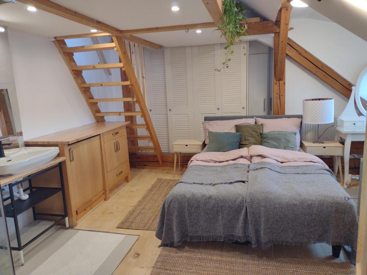 Studio Blizko Centra, Zilinska 20 Братислава Екстериор снимка